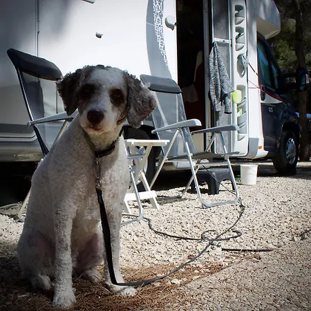 Camping Moraira * Moraira