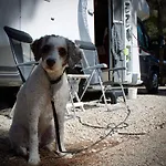 Camping Moraira * Moraira