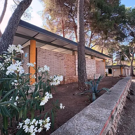 Camping Moraira 모라이라